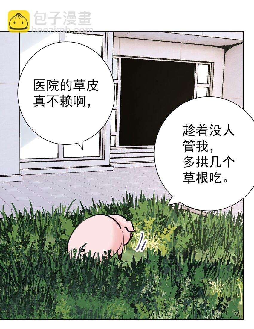 067 吉莉亚你？！