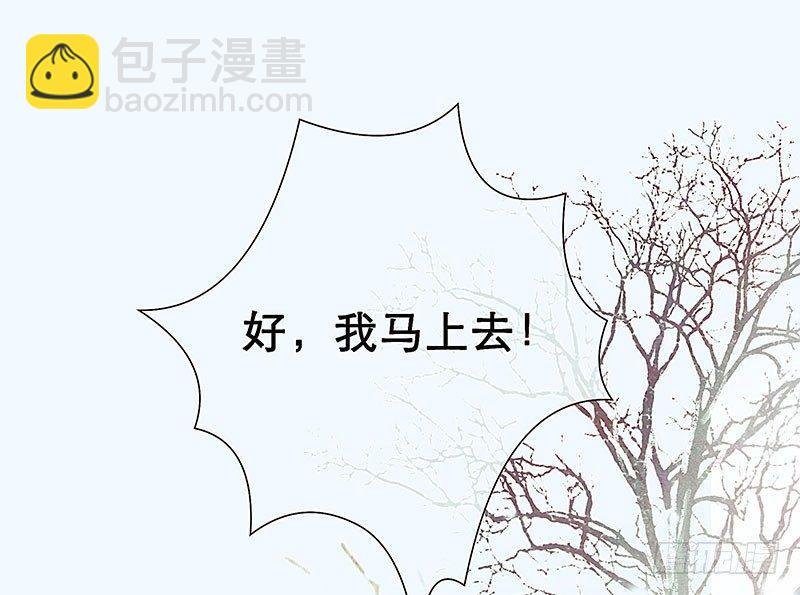 白桥的梦境