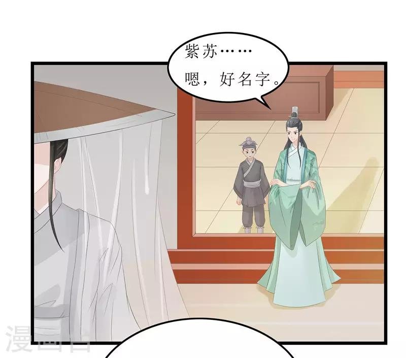 第11话 紫苏姑娘
