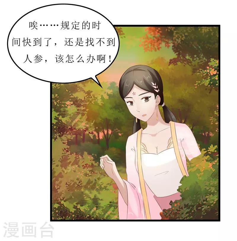 第35话 别碰那朵花！