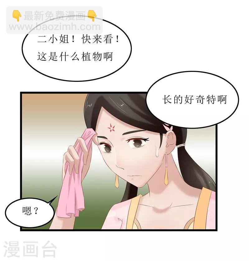 第35话 别碰那朵花！