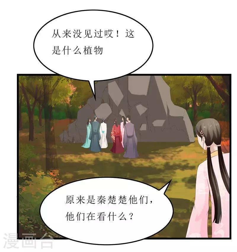 第35话 别碰那朵花！