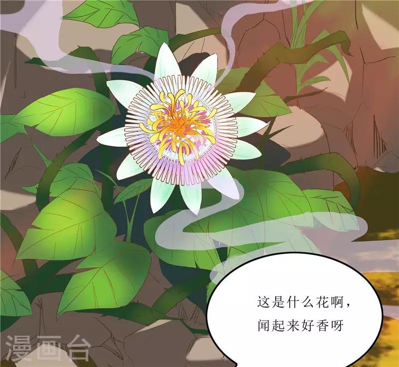 第35话 别碰那朵花！