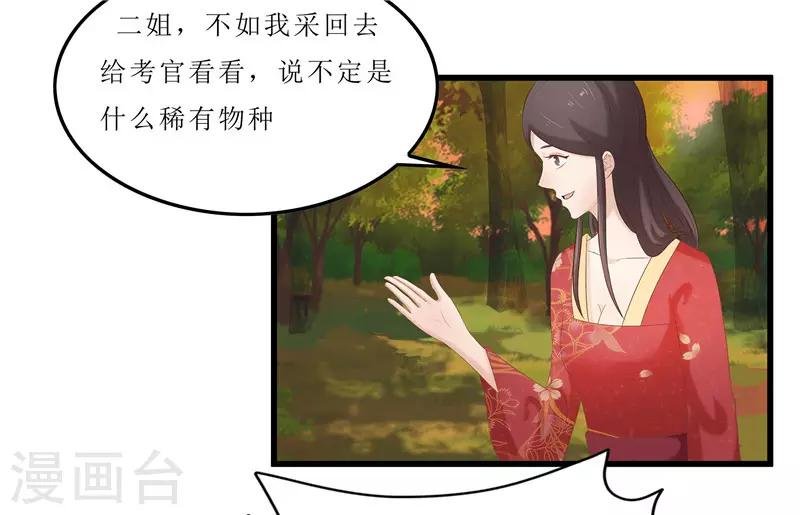 第35话 别碰那朵花！