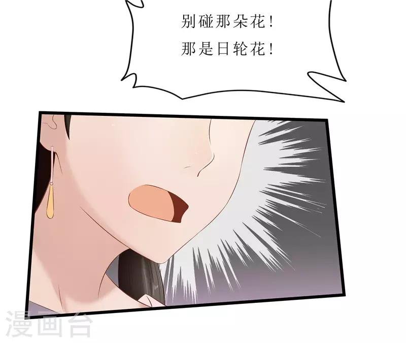 第35话 别碰那朵花！
