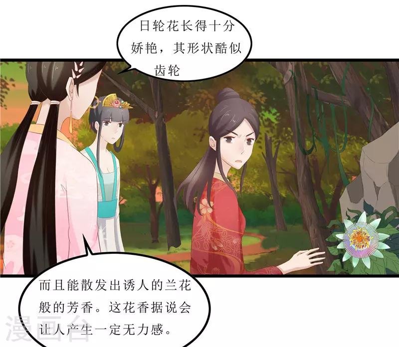 第35话 别碰那朵花！