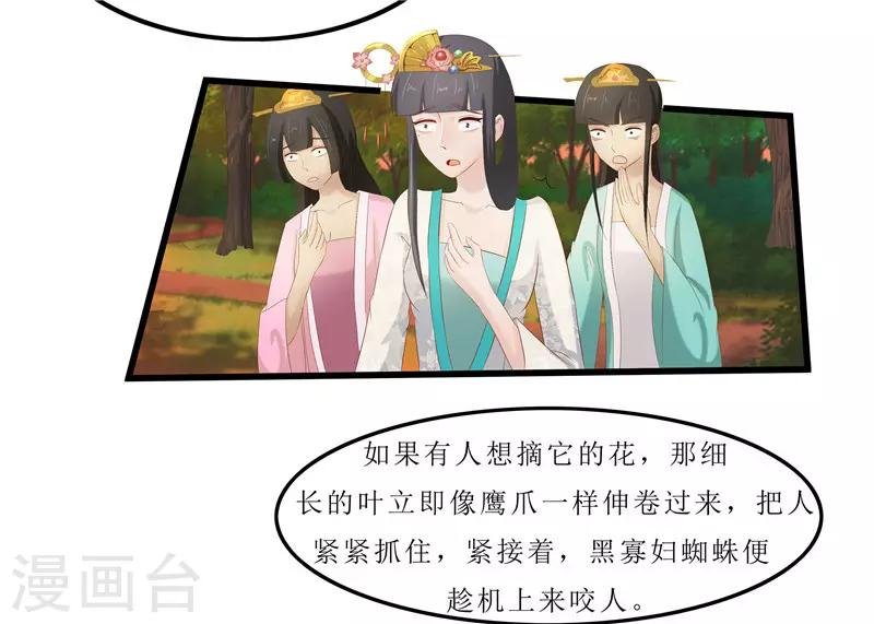 第35话 别碰那朵花！