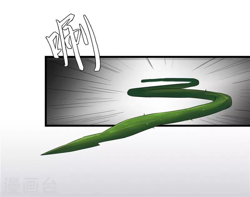 第35话 别碰那朵花！