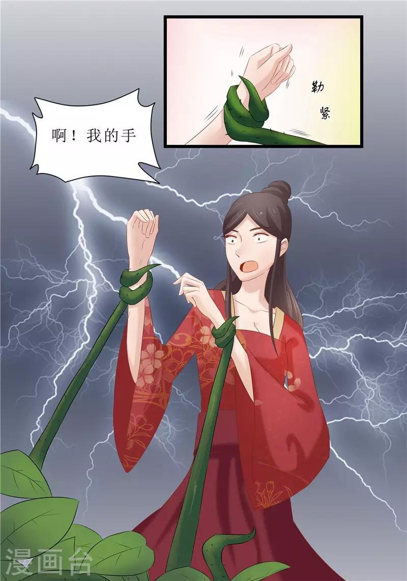 第35话 别碰那朵花！