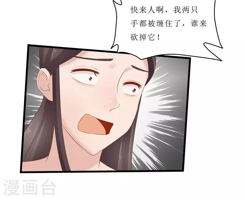 第35话 别碰那朵花！