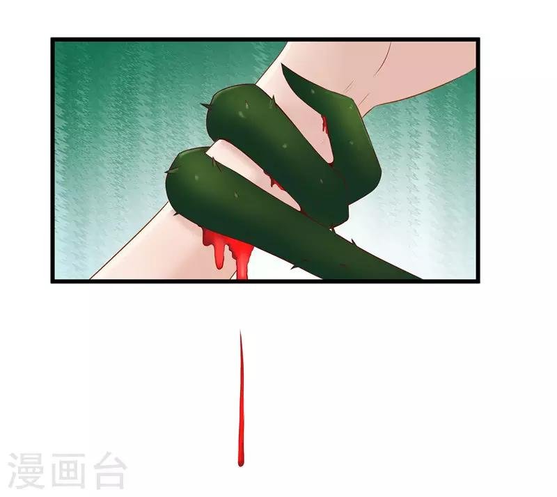 第35话 别碰那朵花！