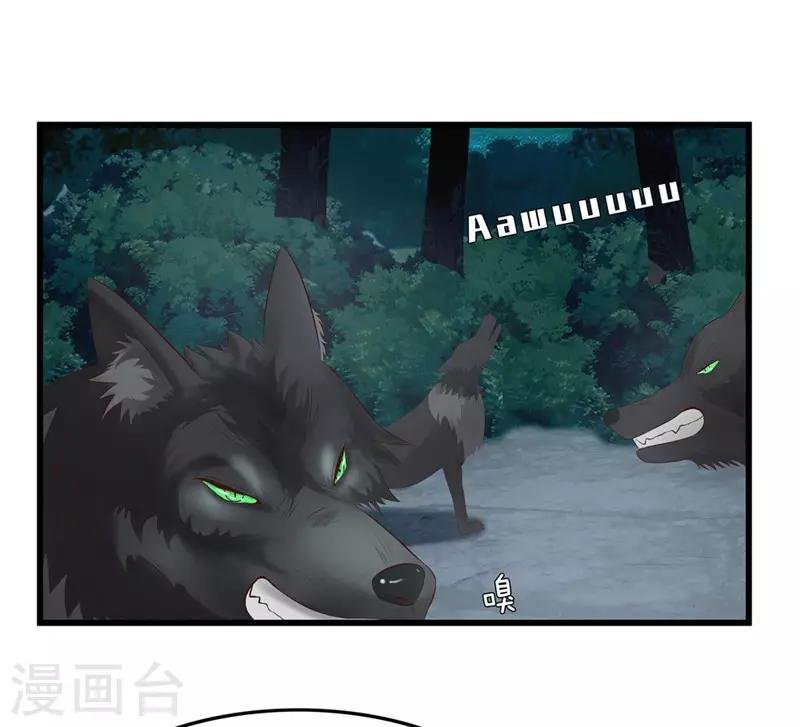 第41话 把你丢去喂狼！