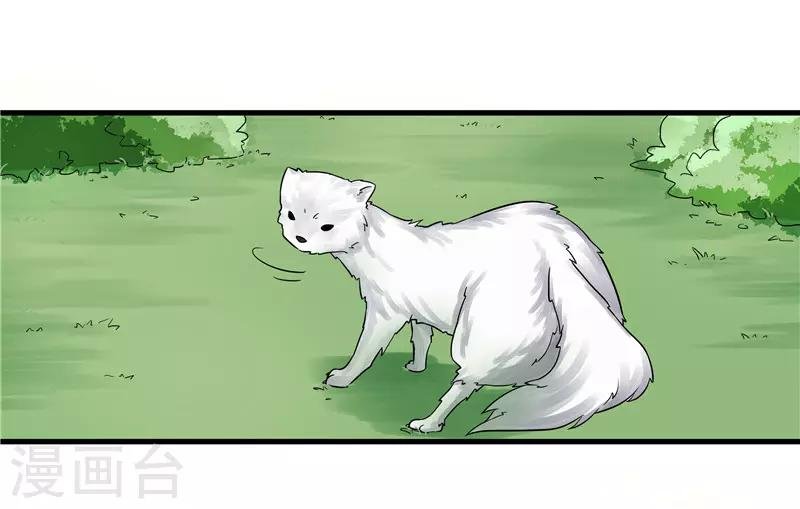第76话 你为什么要救我？