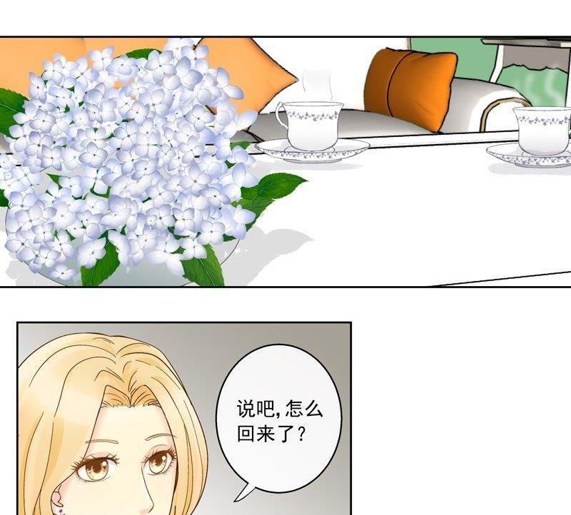 第42话 我的全能经纪
