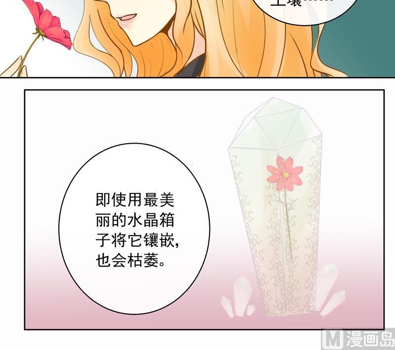 第53回 坑妹高手