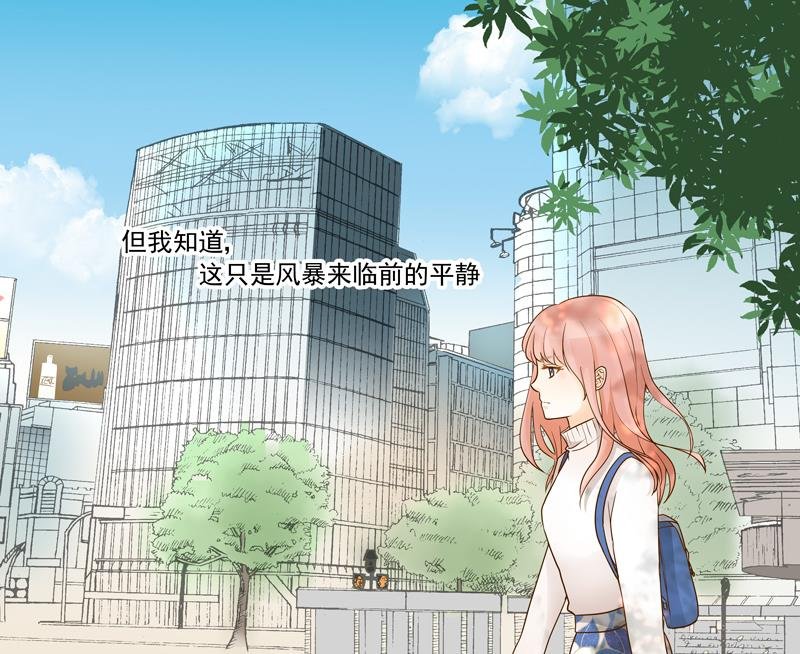 第73话 风暴前的平静
