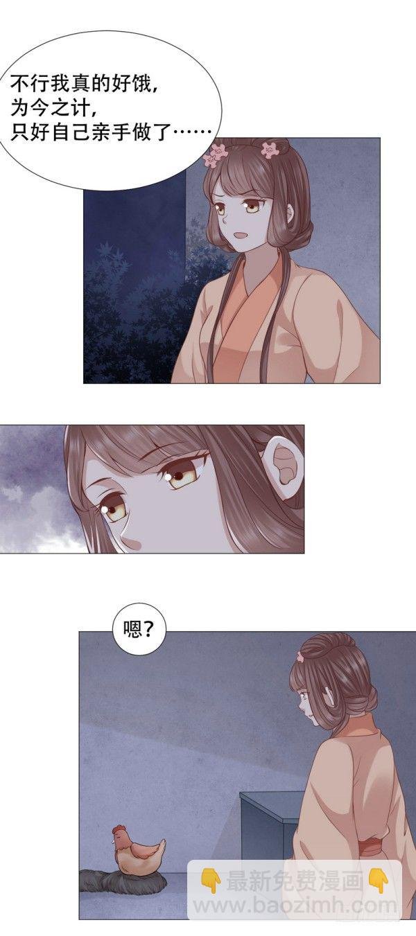 一只鸡引发的爱恨情仇