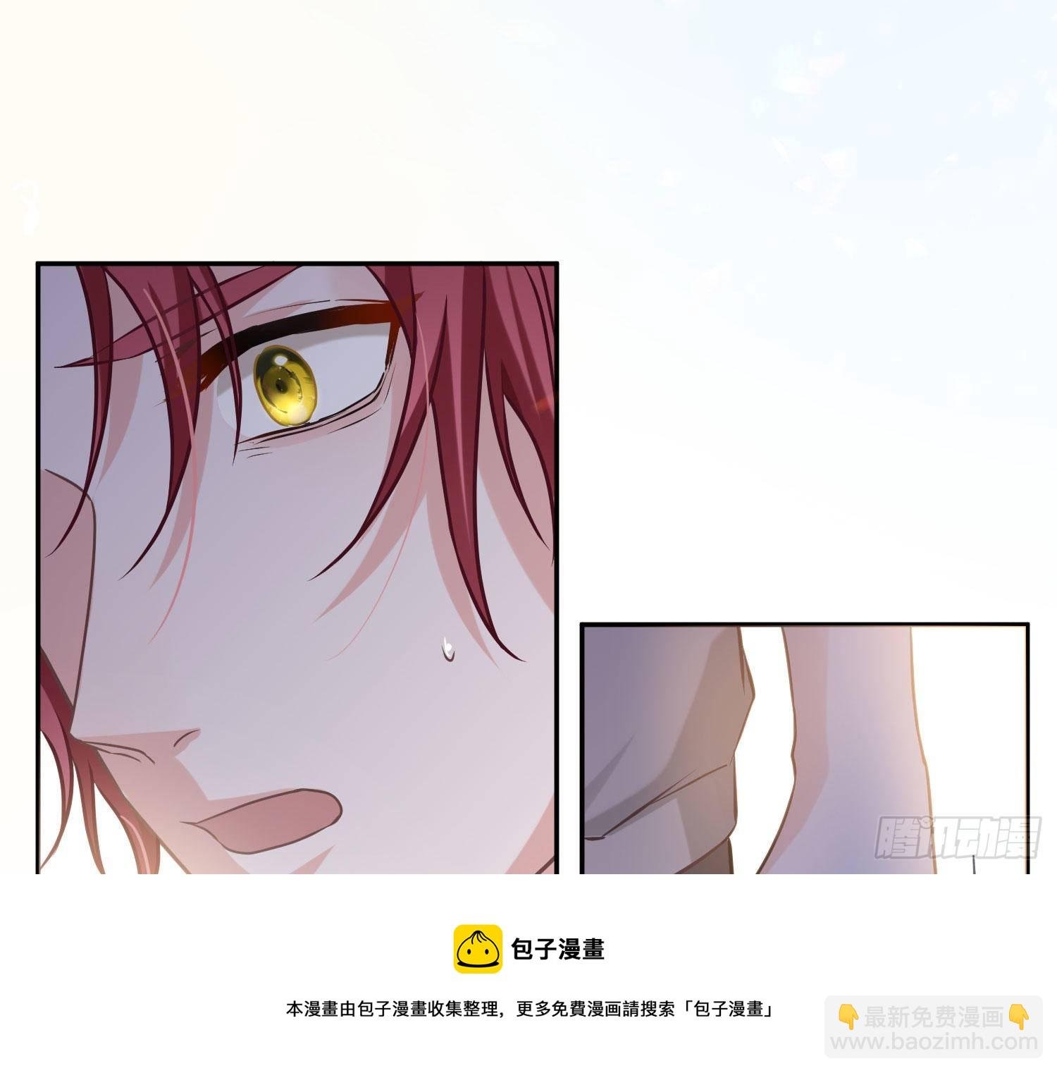 第11话：被监视的玩偶