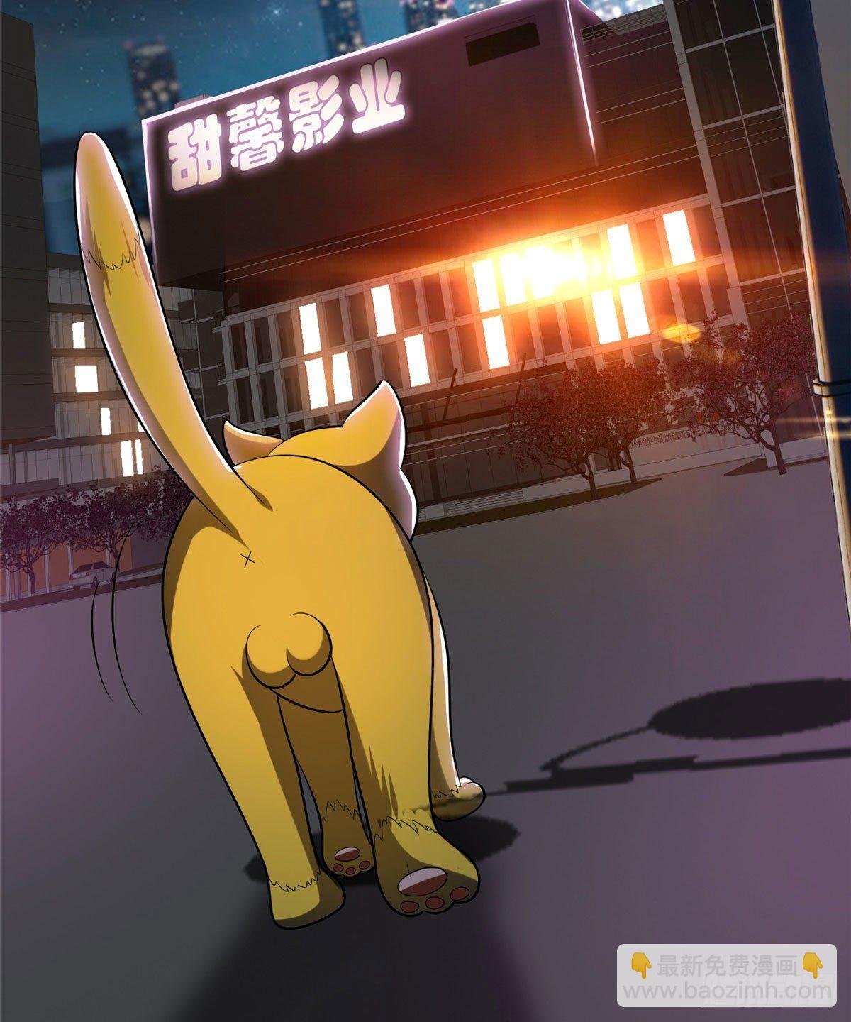 08 暗中观察
