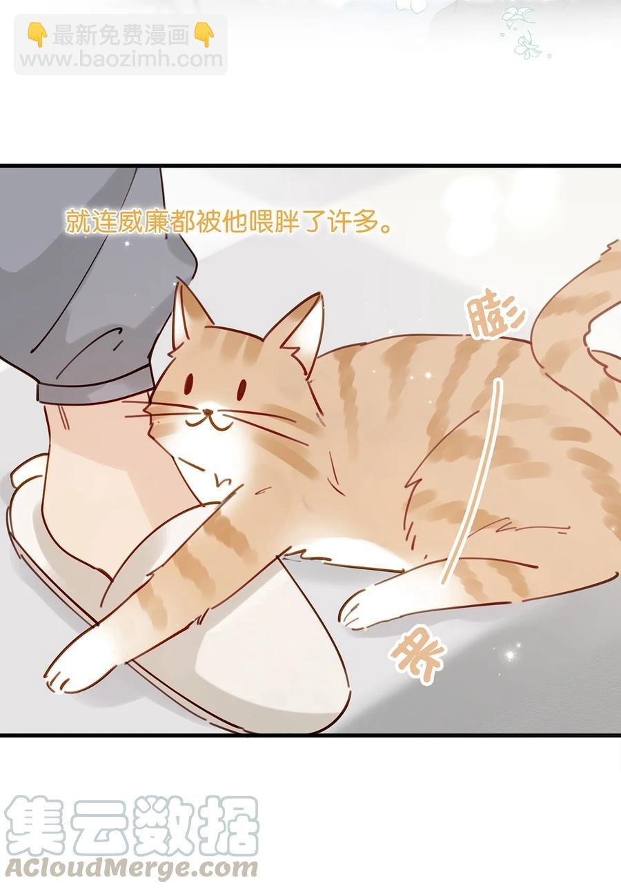 番外 一周年漫画独家专属番外