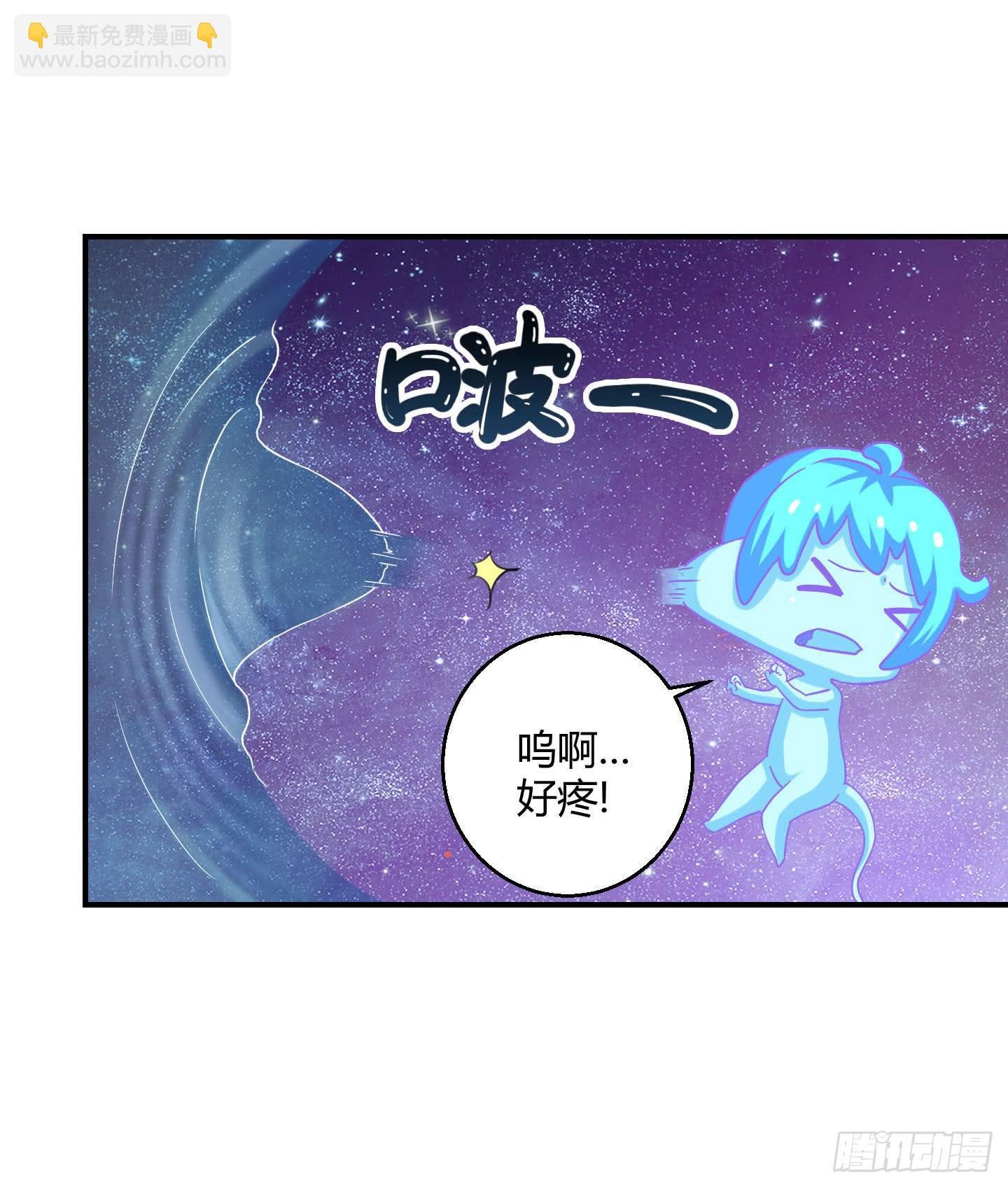 寻找金蟾蜍！