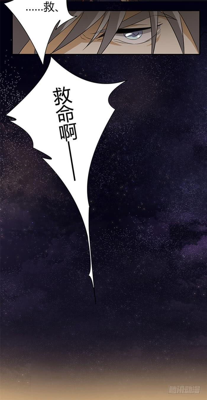 谁送的玫瑰