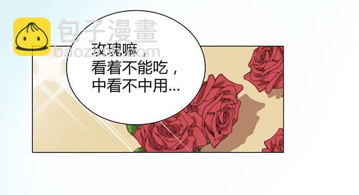 谁送的玫瑰