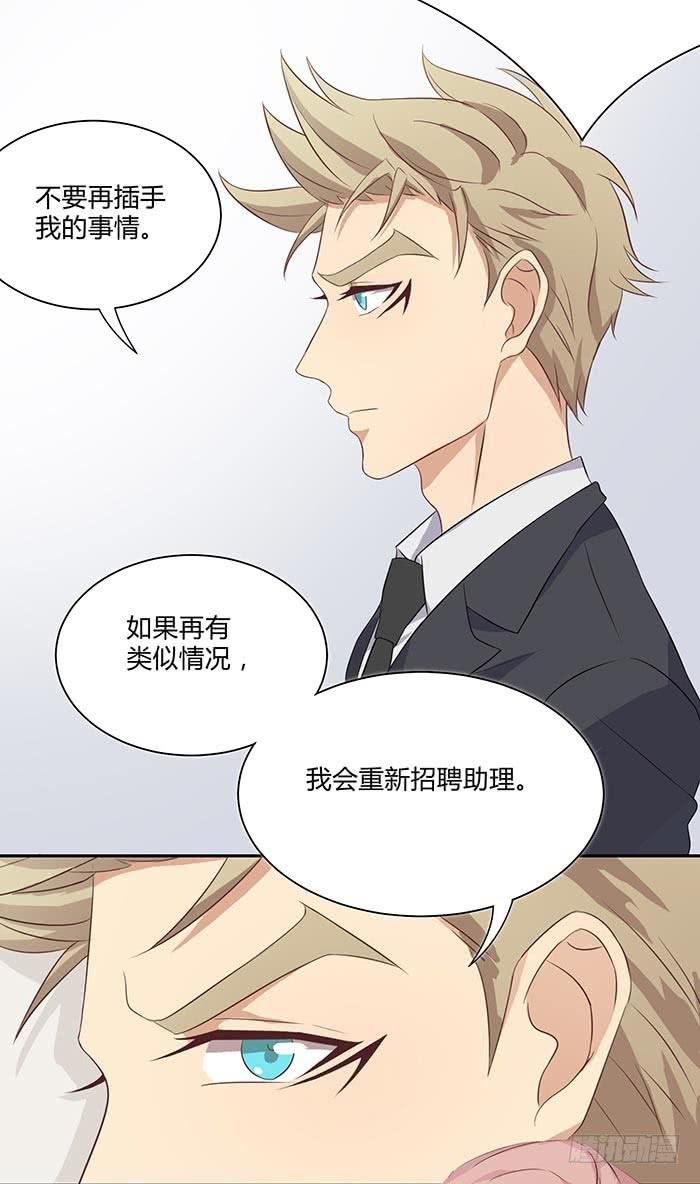 泰然归来（上）