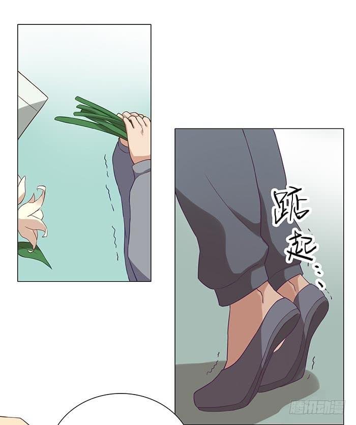 泰然归来（上）