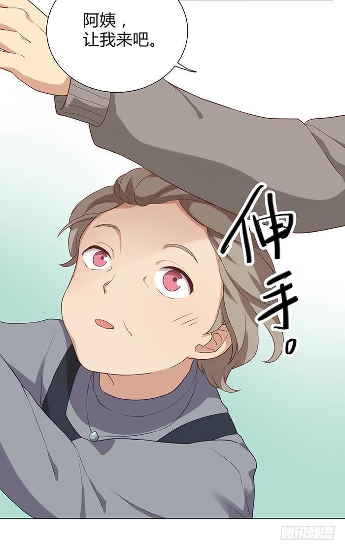 泰然归来（上）