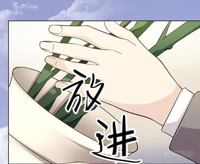 泰然归来（上）