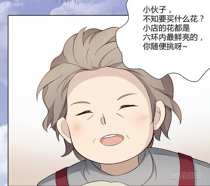 泰然归来（上）