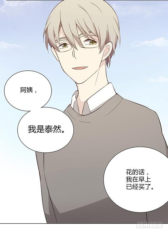 泰然归来（上）