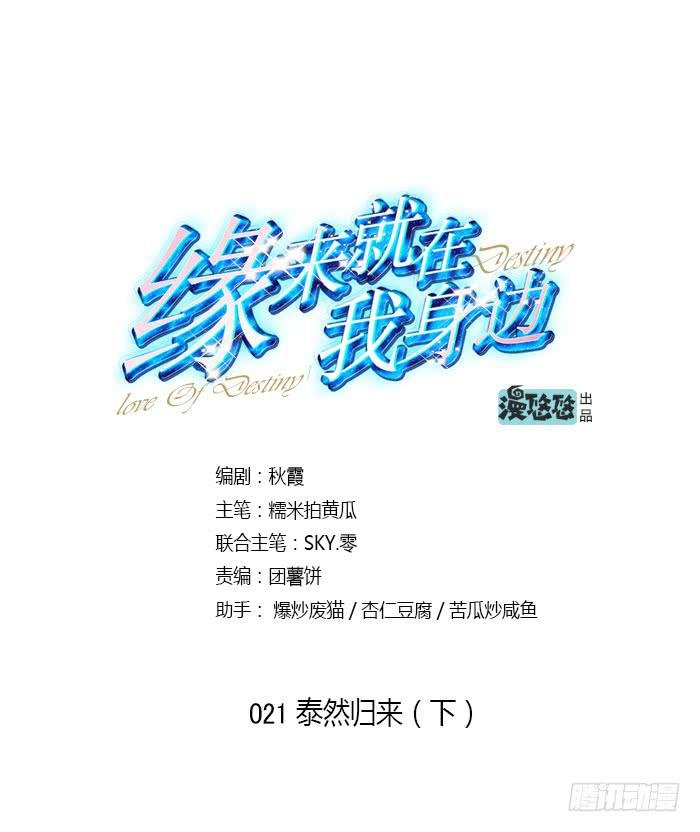 泰然归来（下）