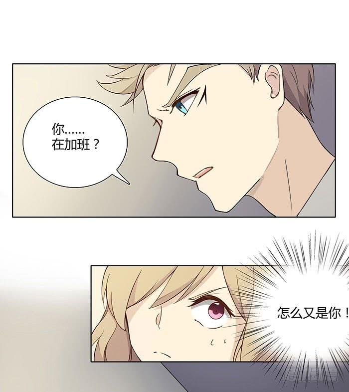 泰然归来（下）