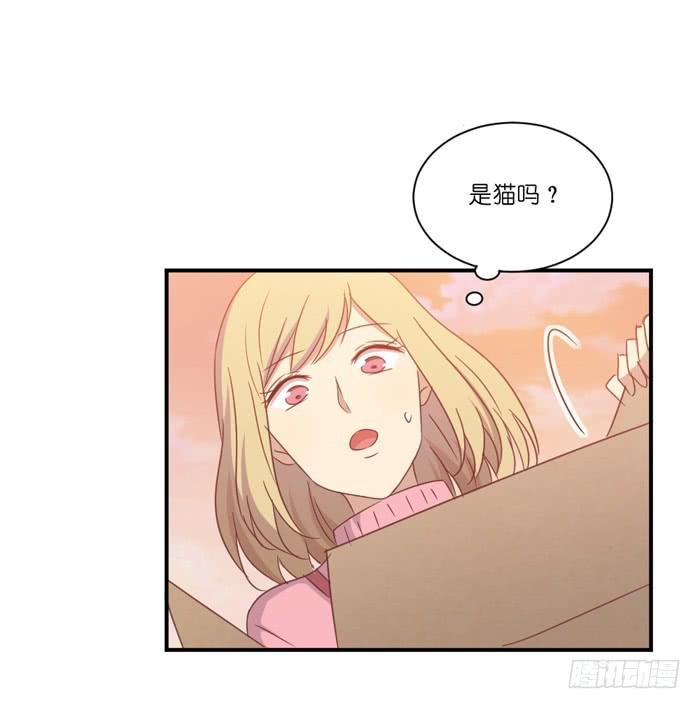 神秘纸箱