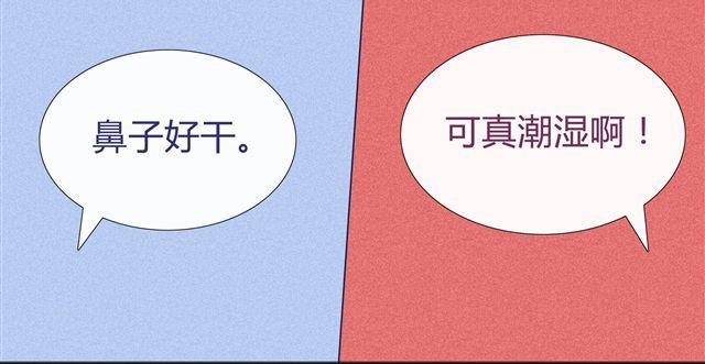 第4、5话 交换生活开始！~