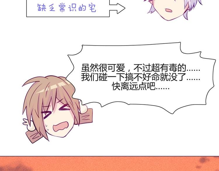 第46话 美丽的东西都有毒