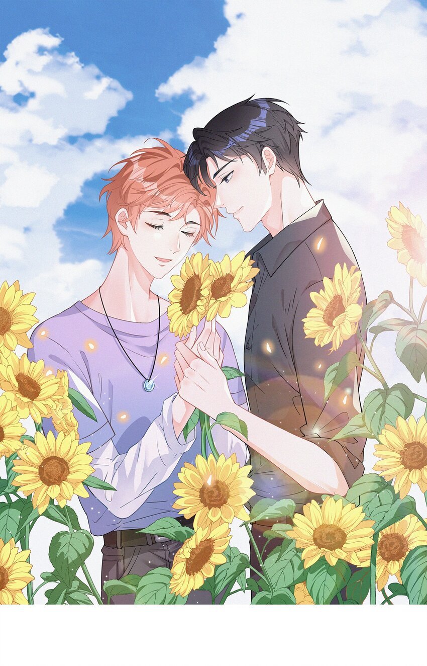 003 合约期限