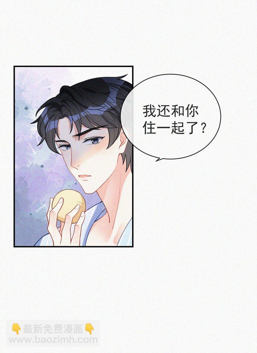 005 协议的真相