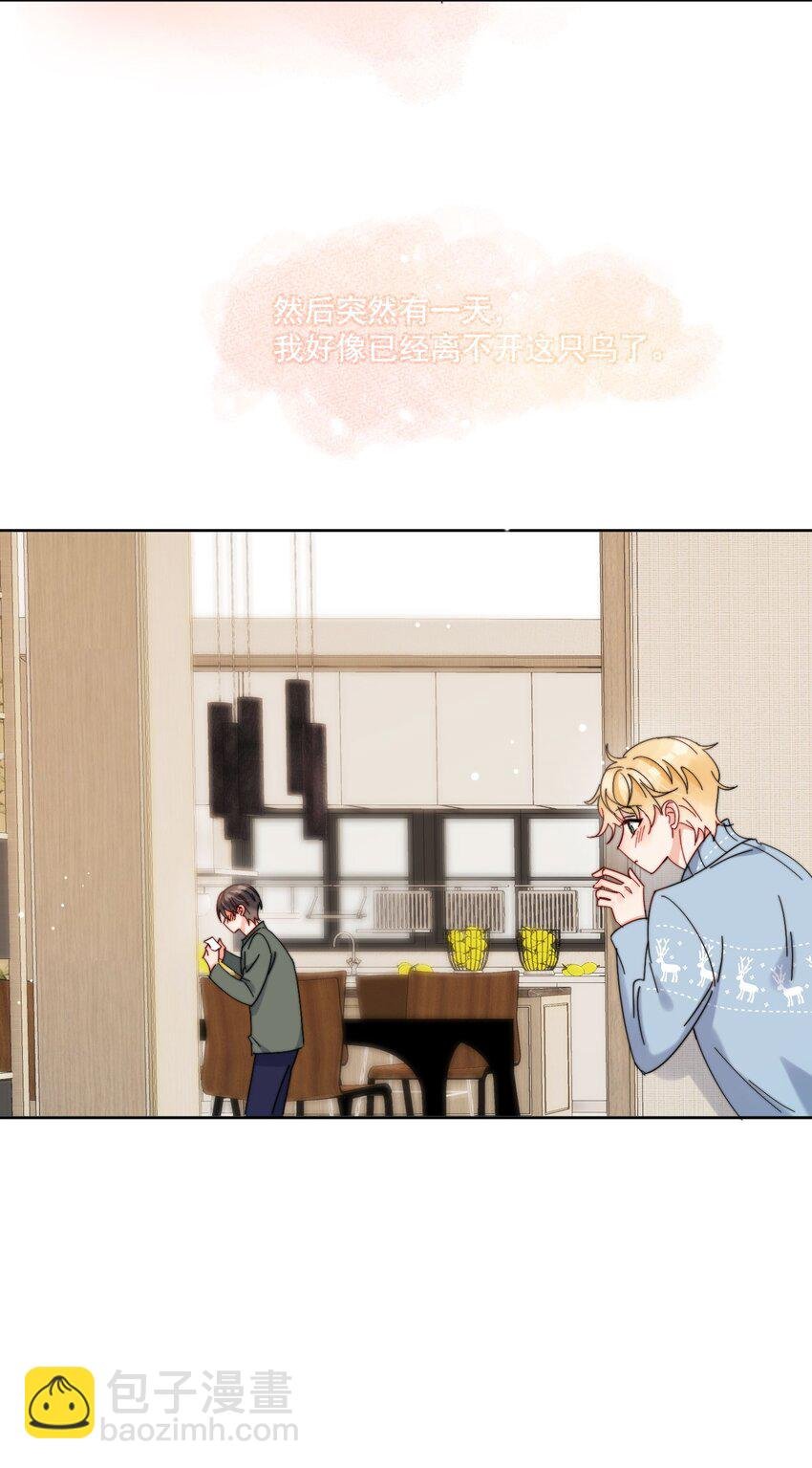 第36话 风云之星