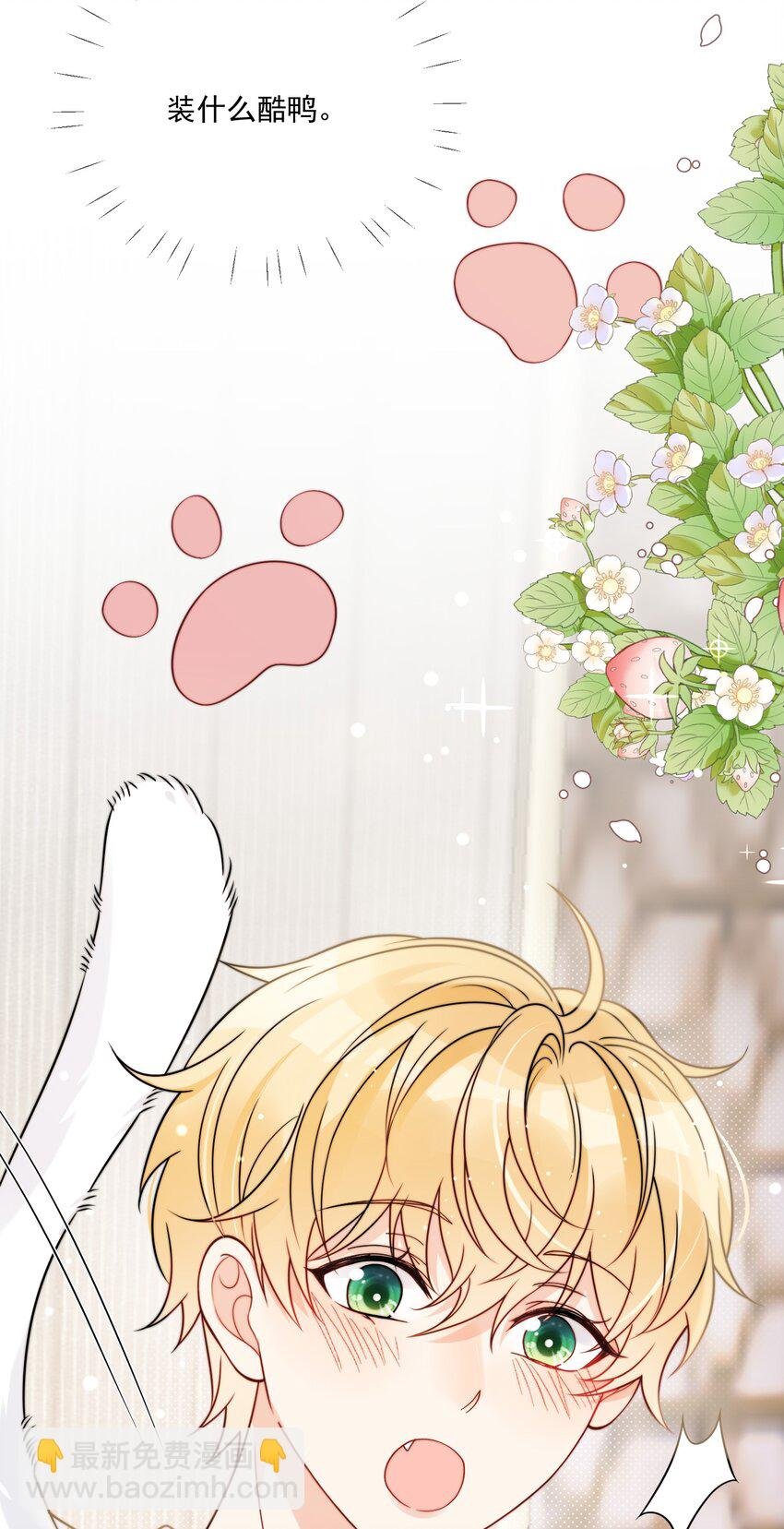 第6话 你要的小猫咪