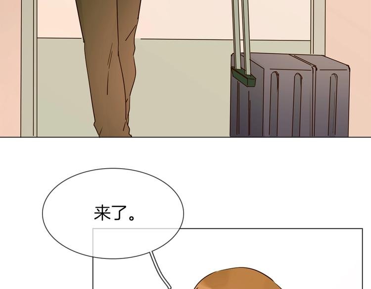 第9话 红毯之战！