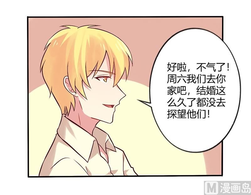 第66话 拜访刘家