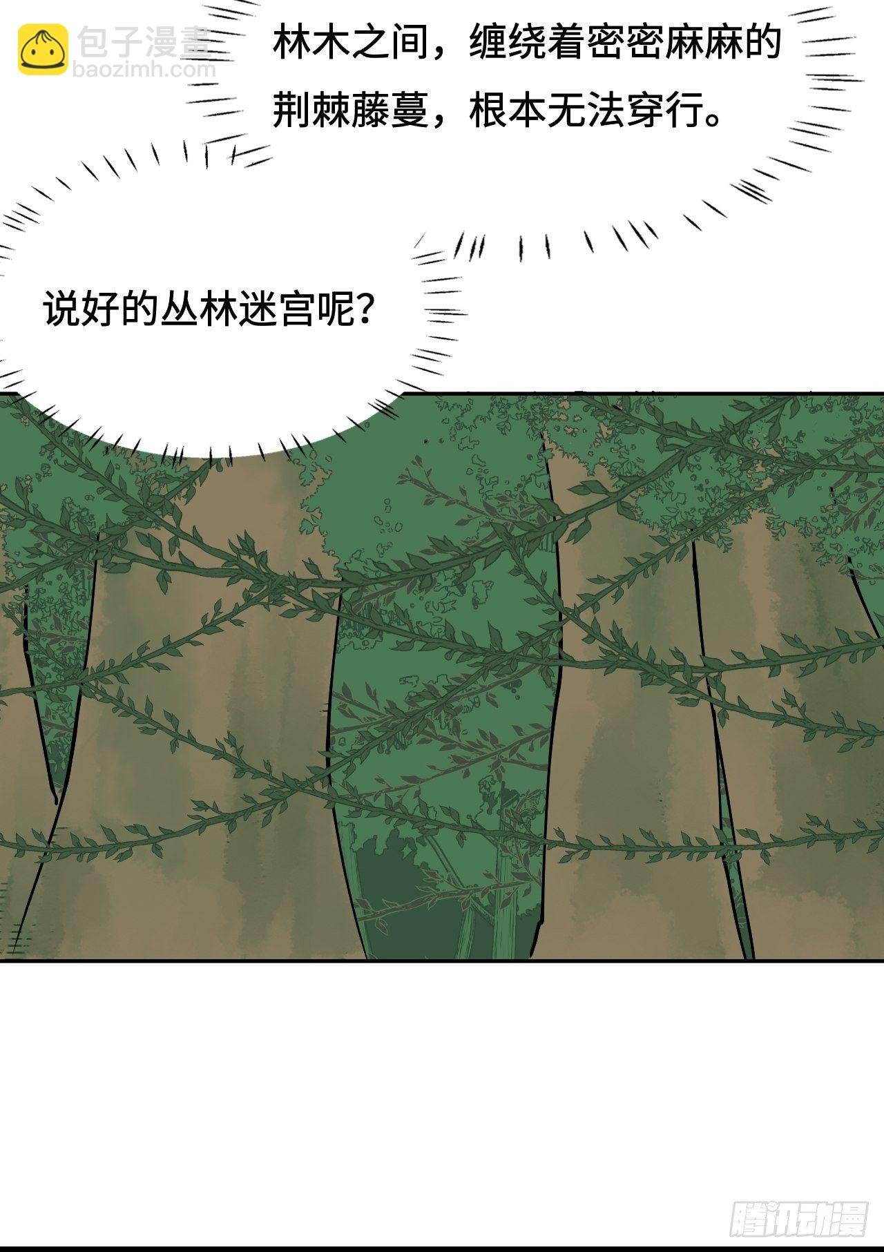 23 丛林迷宫