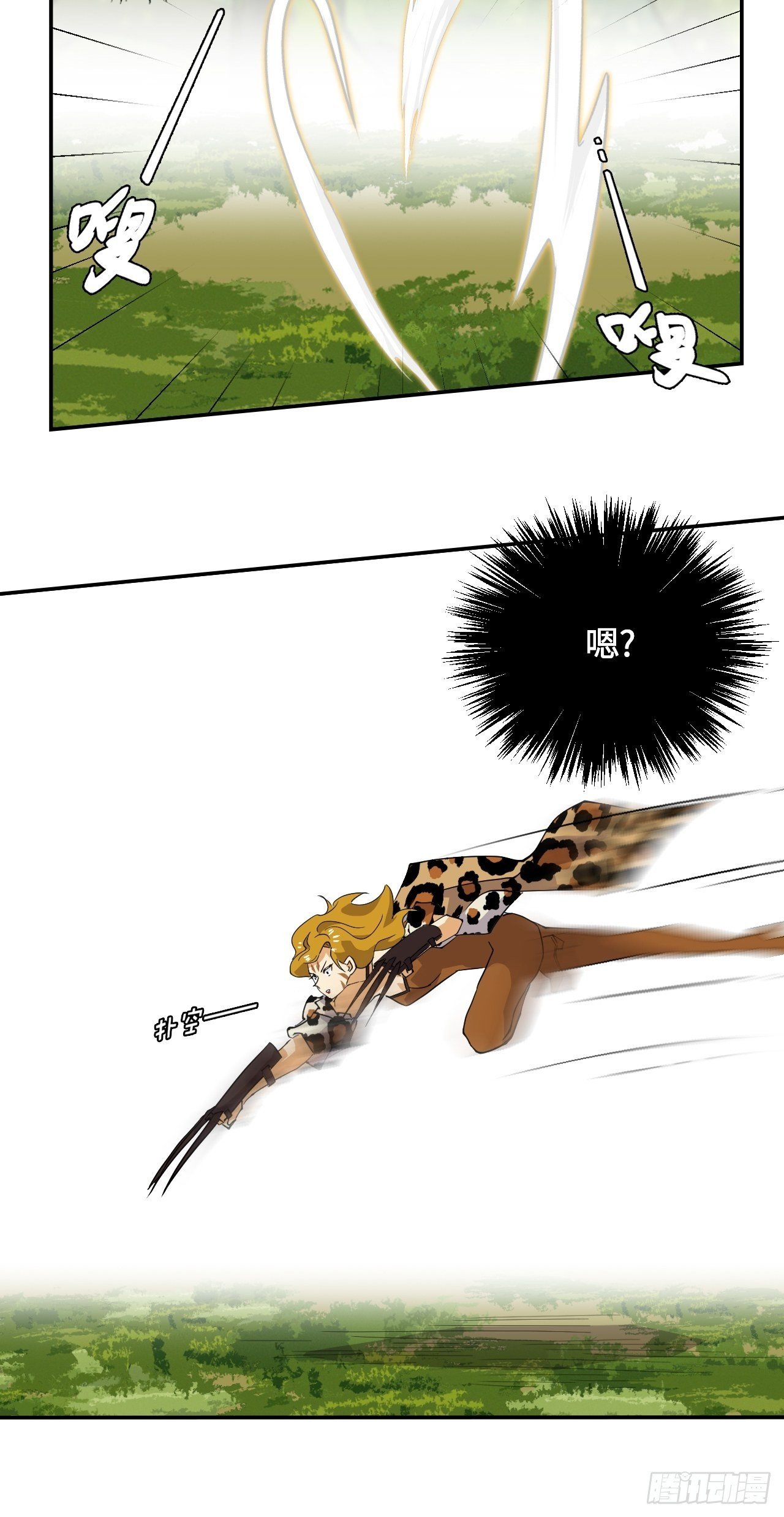 51 阴阳猞猁