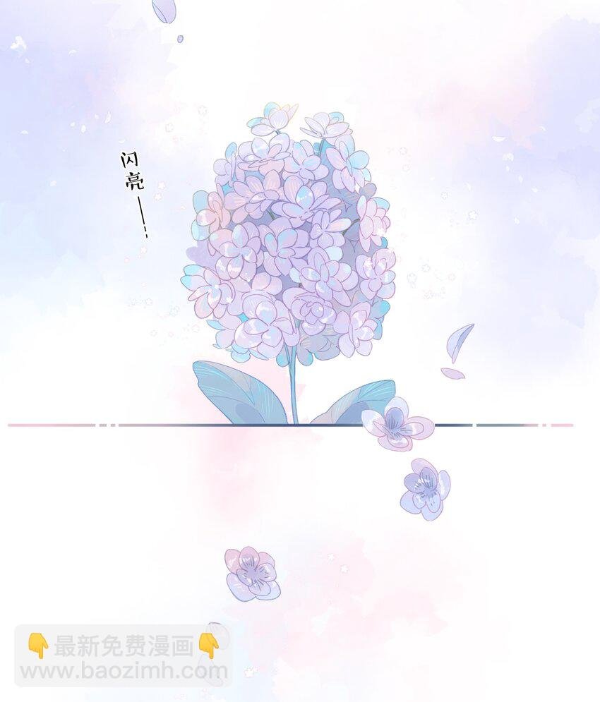 第1话 花的初见