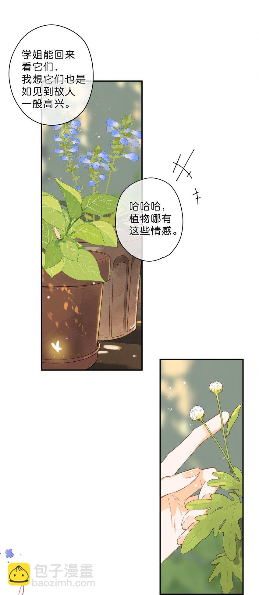 第65话 藏在温室里的怀念
