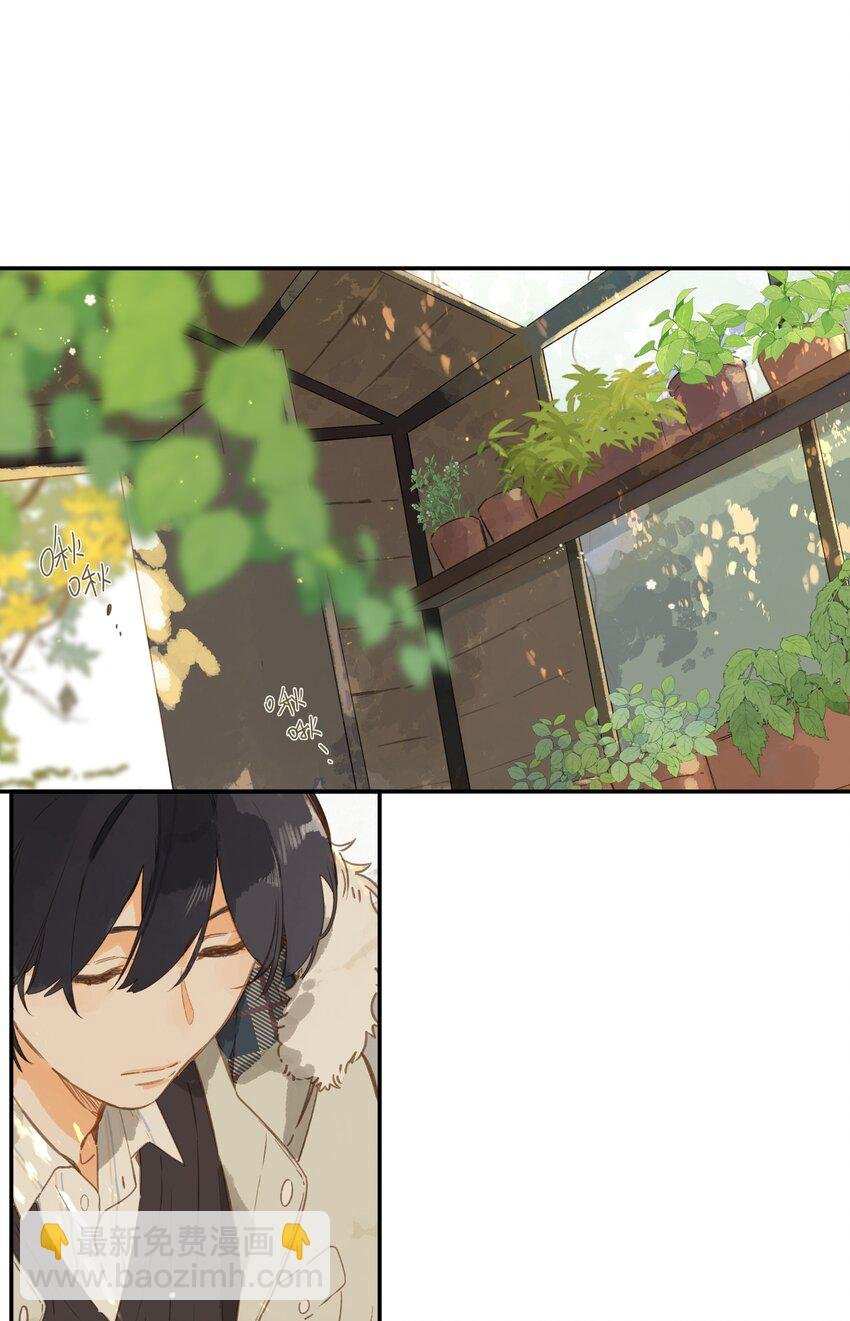 第65话 藏在温室里的怀念