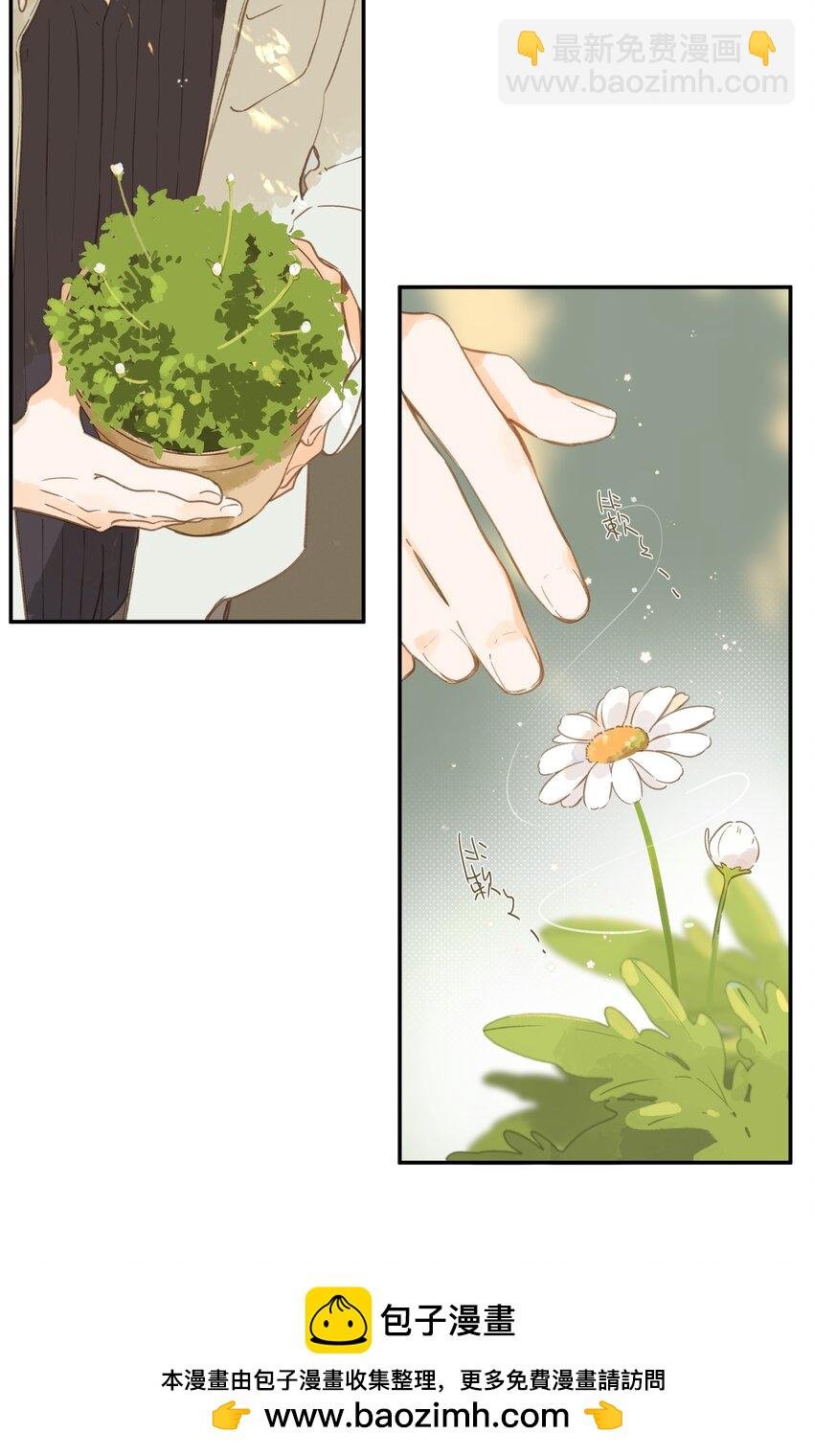 第65话 藏在温室里的怀念